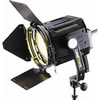 Lowel Fren-L 650