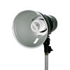 Compact Fluorescent Light with 25W Lamp, Reflector, Diffuser