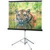 Consul 60"x60" Matte Tripod Screen AV Format