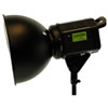 Tunsten Light (no bulb)