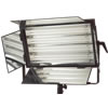Fluorescent Light Bank 55Wx4 DMX