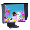 321 LCD 21.3" Monitor