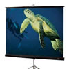 Diplomat 100" (60"x80") Matte White NTSC 4:3 Screen