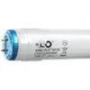 6ft Kino 800ma KF55 (2 pin) Safety Coated Lamp
