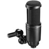 AT2020 Side-Address Cardioid Large Diaphragm Microphone