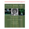 11"x17" Bamboo 290 gsm - 20 Sheets