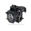 Lamp Module for PowerLite S5 and 77c, X5, EX50, ELPLP41