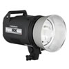 Style 600 RX Flash Head (120V) Dark Grey Housing