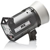 Style 300 RX Flash Head (120V) Dark Grey Housing