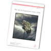 8.5"x11" Natural Art Duo 256gsm - 20 Sheets