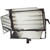 Fluorescent Light Bank Kit 55Wx4 DMX with Silver Eggcrate Louver