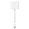 Mini DisplayPort to DVI Adapter