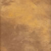 9x10 Canvas Background Autumn