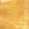 9x10 Canvas Background Golden Sand