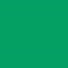 10x20 Matte Vinyl Background Chroma Green