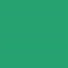 10' X 24' Chroma-Key Green