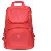 Vector Photo Daypack 1 Cadmium Red