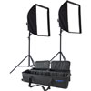 Spiderlite TD6 2 Light Window Kit Deluxe
