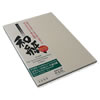 11.7" x 16.5" A3 Bizan Medium Natural 200gsm 5 Sheets (Deckle Edges)
