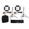 2 X CN-600CH LED Video Lights With 2 x Carry Bags, 2 x Light Stands And 1 Stand Bag