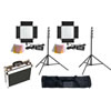2 x LG-600S LED Video Light with 1 x Carry Case, 2 x Light Stands And Stand Bag