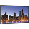 P462-AVT LCD Public Monitor 1920x1080 FHD