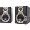 2x20W 4" Active Monitor (Pair)