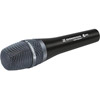 E965 Large Diaphragm True Condenser Vocal Microphone w/ Shock Mounted Capsule &amp; Switchable Preattenuation
