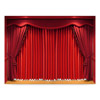 6'x8' Stage Curtain Scenic
