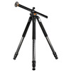 Auctus Plus 283CT