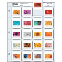 Print File35mm Slides 20 Topload Printed 100'S