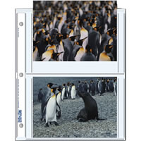 Print File5X7 Prints - 4 per Page 25 Sheets