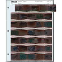 Print File7-35mm Strips Of 5 - 35 Frames 100 Pk