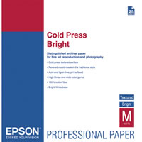 Epson13