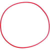 OlympusPOL-EP01 O-Ring for PT-EP01