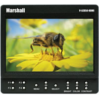 Marshall Electronics5