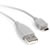 CablesStarTech USB 2.0 Cable 10ft A 4pin to Mini B 5pin High Speed USB2HABM10 for Canon 5D MKII