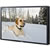 Panasonic DisplayTH42LF30U 42'' Full HD LCD Display, 1980 x 1080