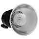 ProHead Flash Head with 250 W Lamp 