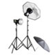 RayD8 c3200 Kit w/2x Heads w/ Tungsten Lamps, Reflectors, Stands, Umbrellas