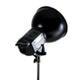 RayD8 Light Unit w/Reflector