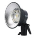 Ranger Quadra S Flash Head with LED Modeling Light, Standard Reflector