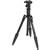 BenroC0691 Carbon Travel Angel Transfunction Tripod Kit w/B Head & Bag - CF Twist Lock&nbsp;1