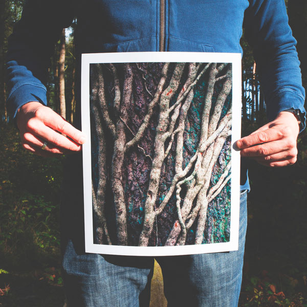 Create with Vistek