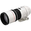 Canon EF 300mm f/4.0L IS USM Telephoto Lens