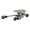 Gitzo Series 5 Rationnelle Head Low Profile Magnesium,