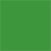 Lee Filters 100x100mm Yellowish-Green 11 Resin Drop In Filter for Black and White Film