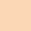 Lee Filters 20"x24" Pale Amber Gold Lighting Filter