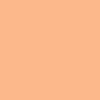 Lee Filters Apricot 20"X24"