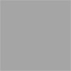 Lee Filters 20"x24" Neutral Density 0.6 Lighting Filter